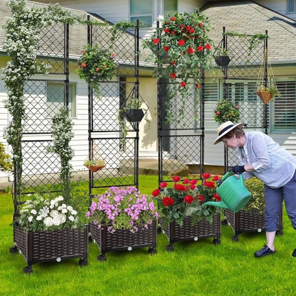 Steel Garden Bed